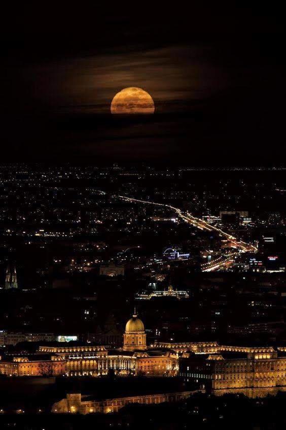 Artemisia Luxury Apartments Jardin Budapeszt Zewnętrze zdjęcie